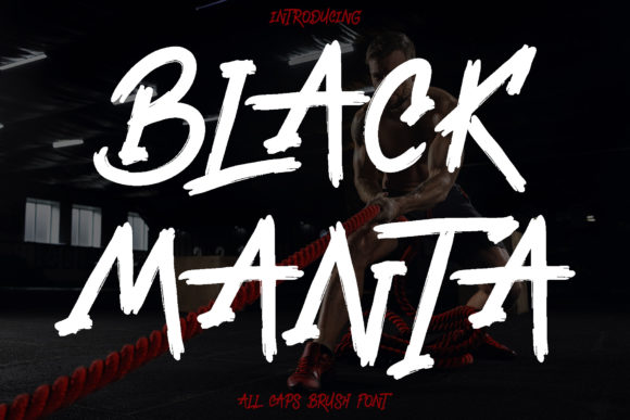 Black Manta Font for Bold Web Design